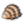 shells-d650c559c.png